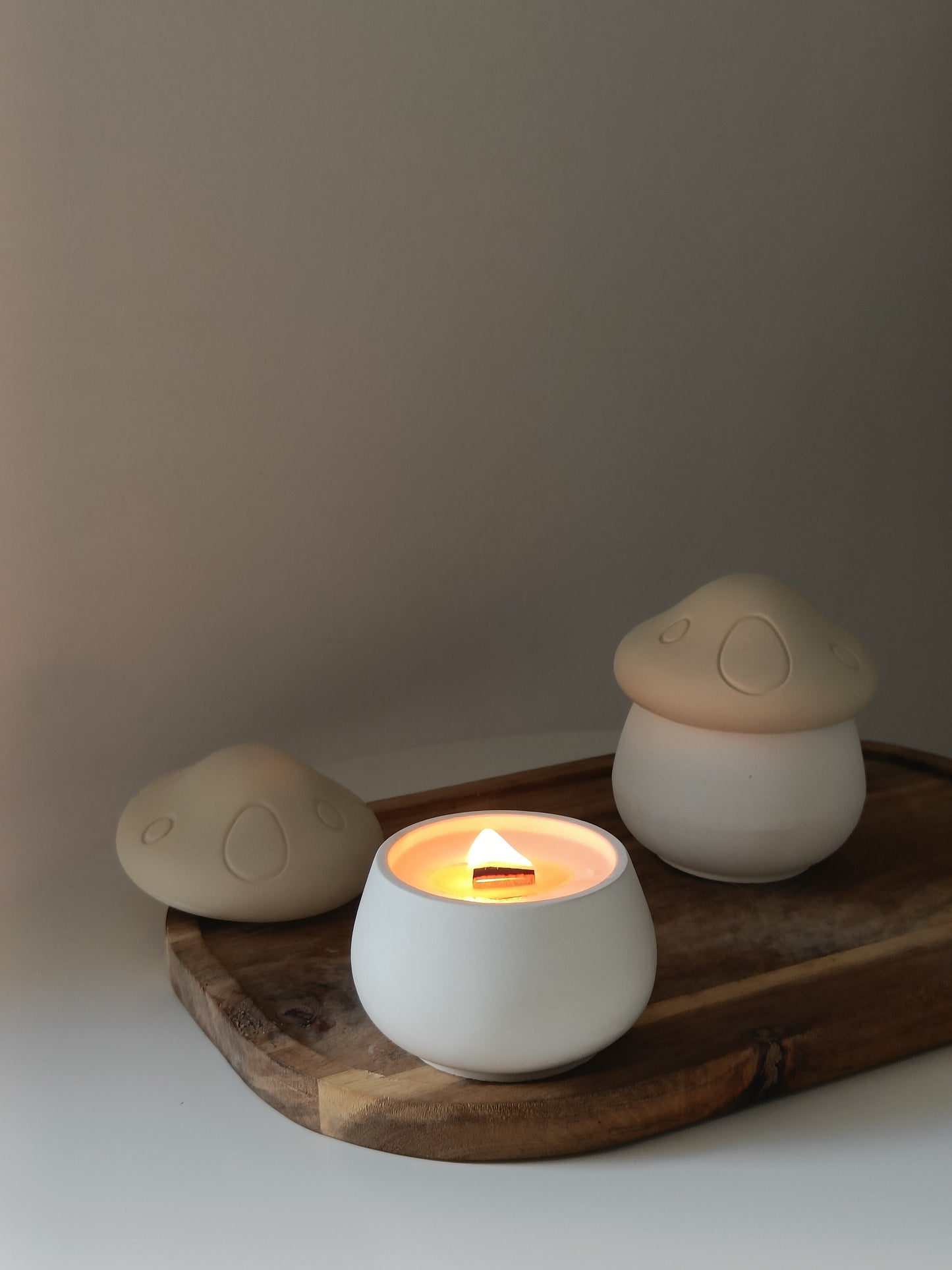 Concrete Mushroom Soy Candle
