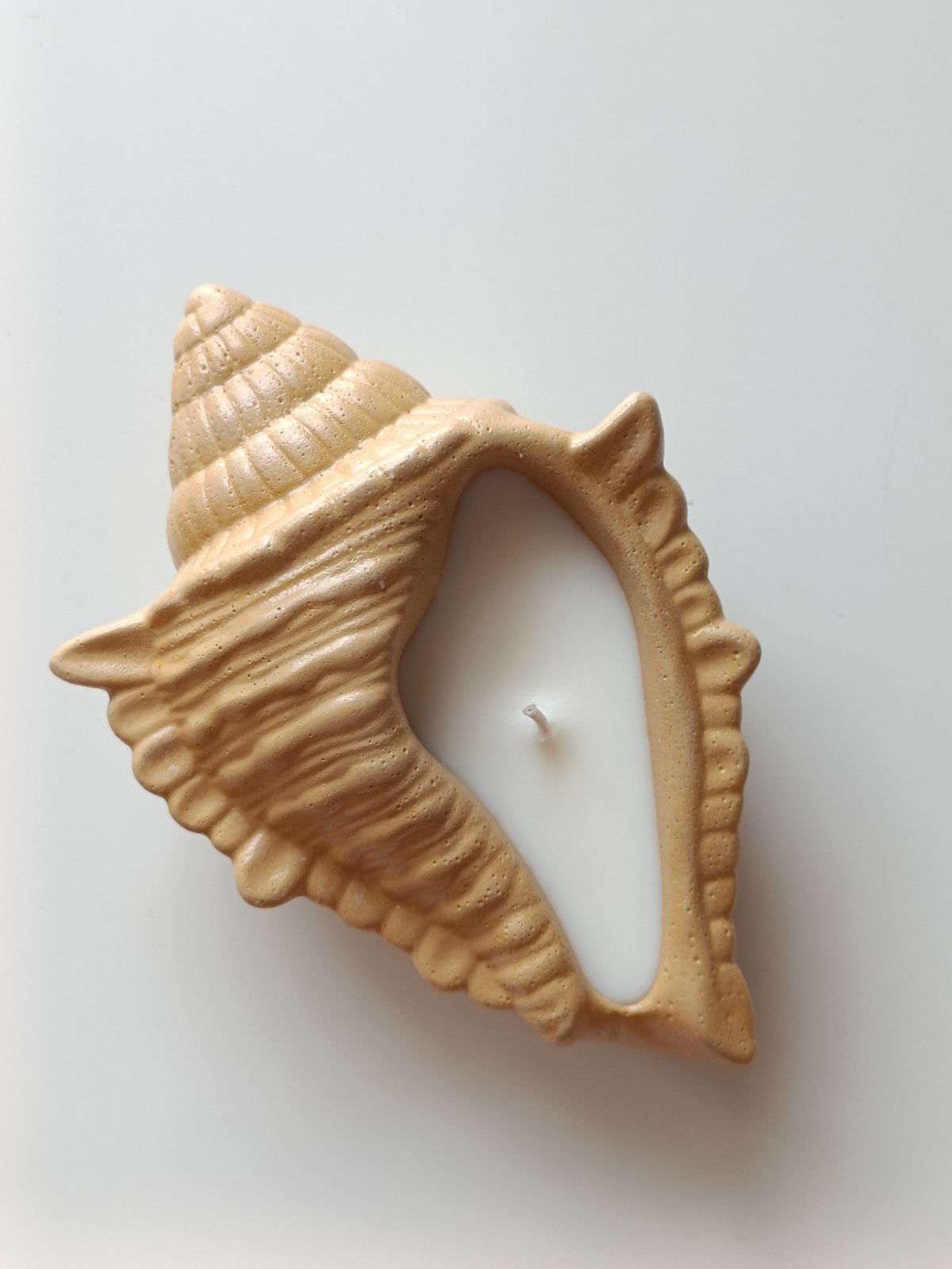 Dream Shell Soy Candle