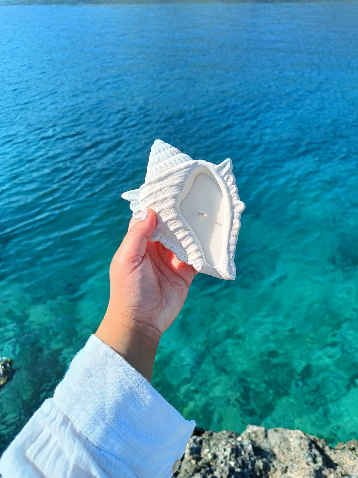 Dream Shell Soy Candle