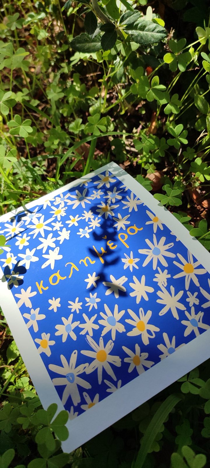 The Good Morning project - "Daisies"