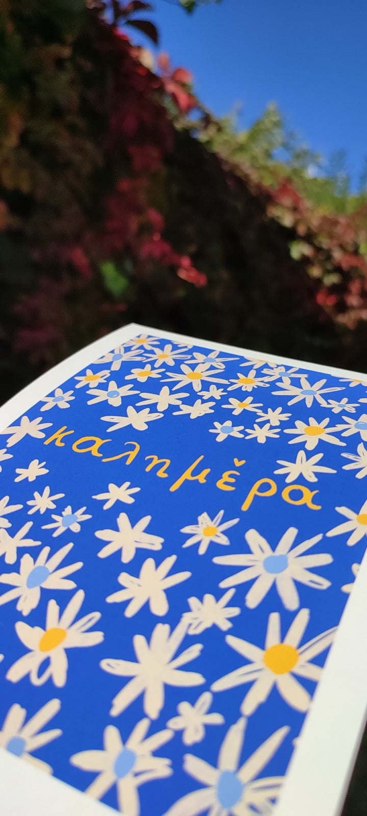 The Good Morning project - "Daisies"