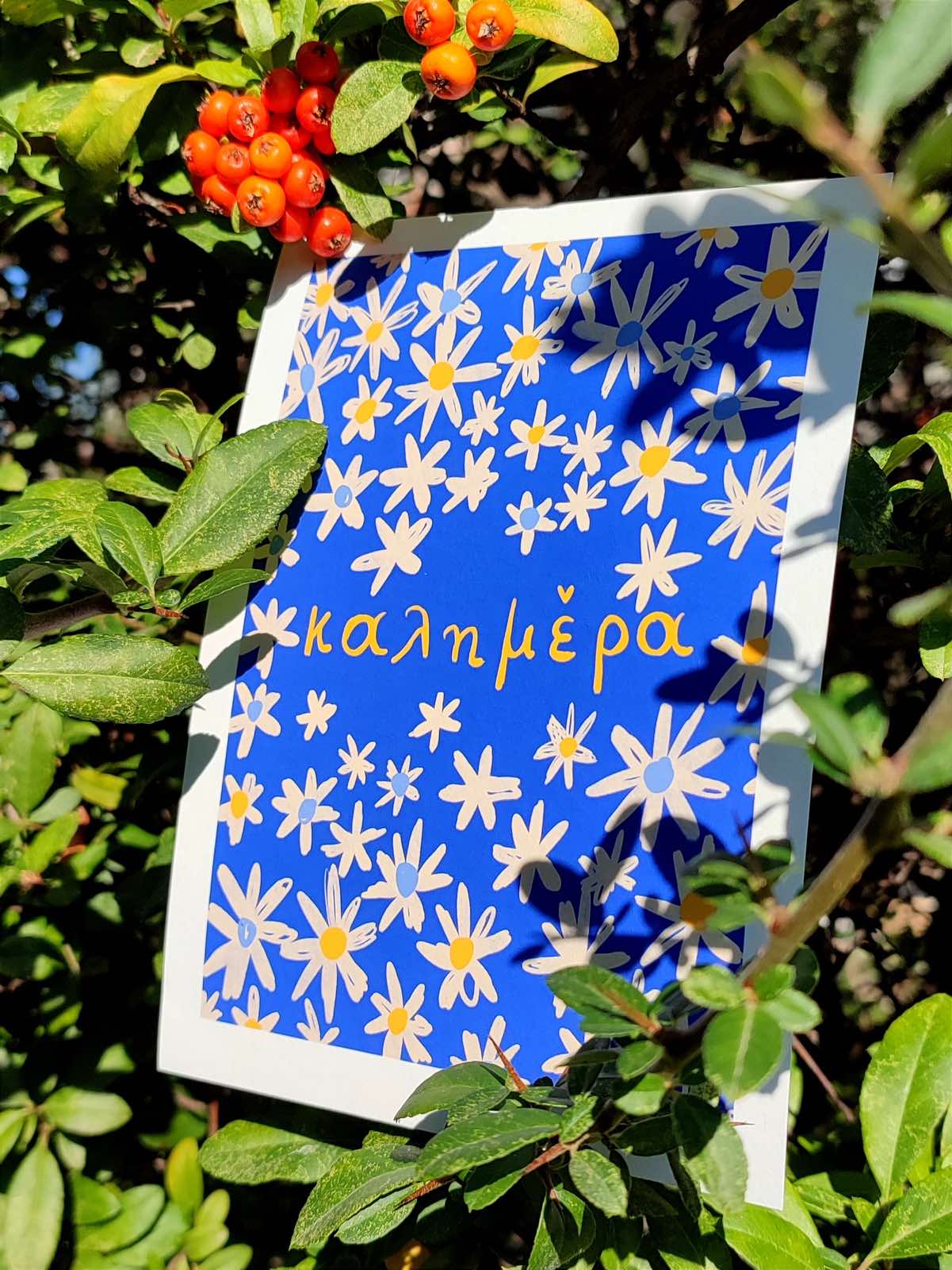 The Good Morning project - "Daisies"