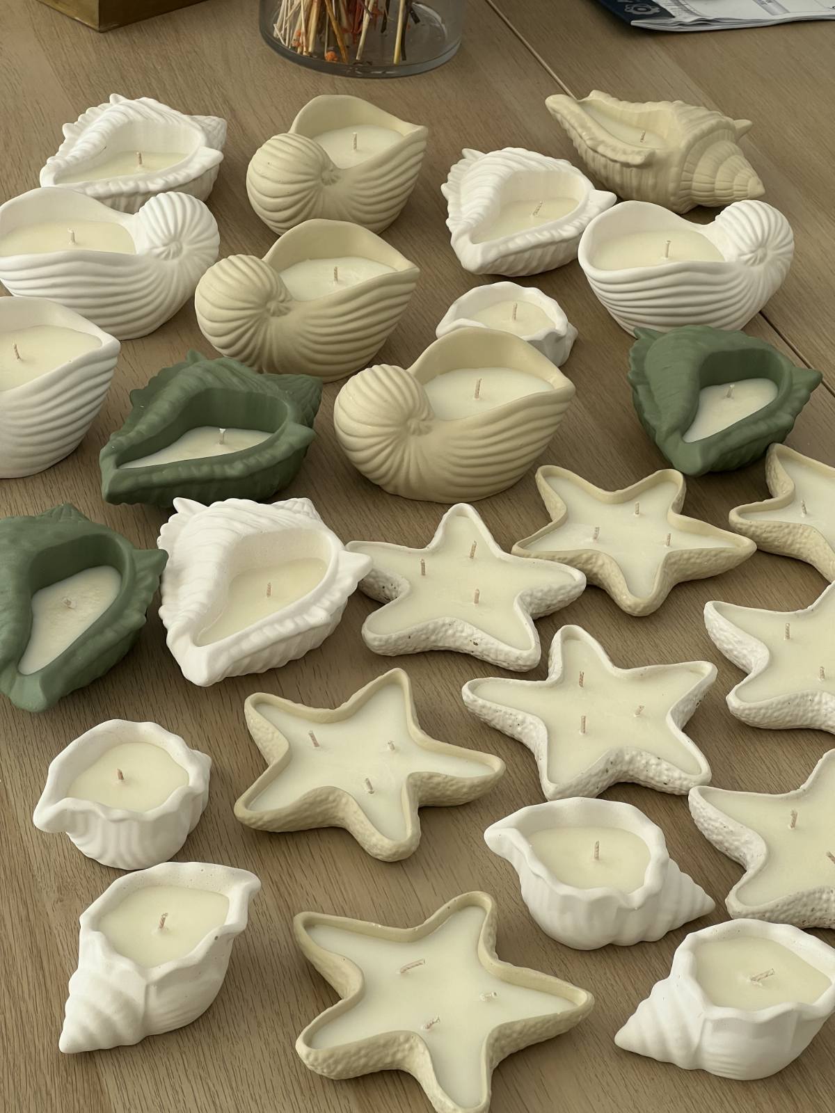 Nautilus Shell