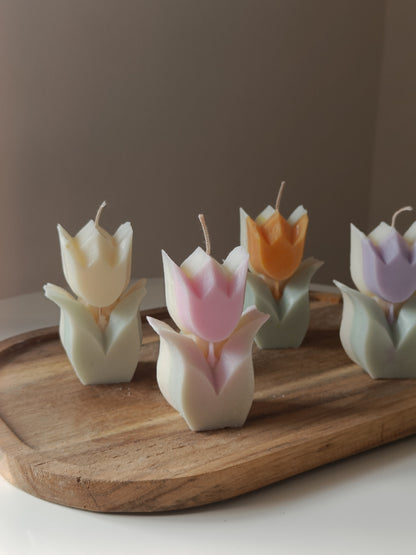 Tulip soy candle