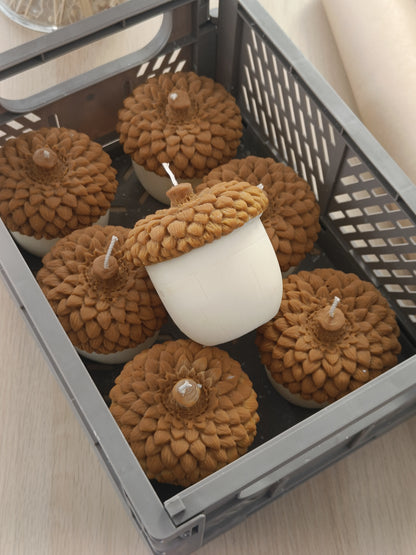 Acorn Soy Candle