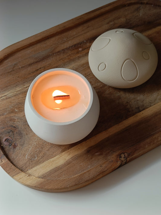 Concrete Mushroom Soy Candle