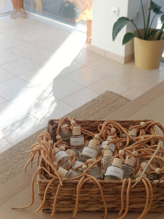 Car reed diffuser 10ml