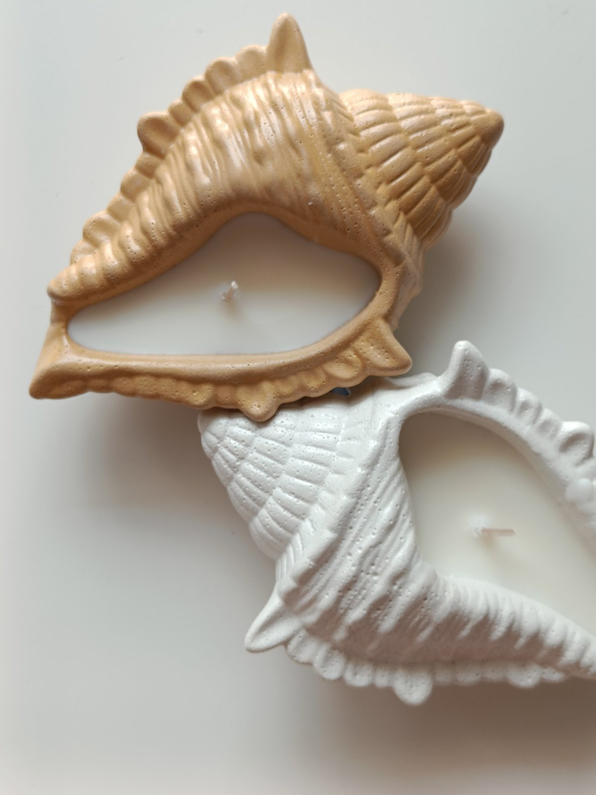 Dream Shell Soy Candle