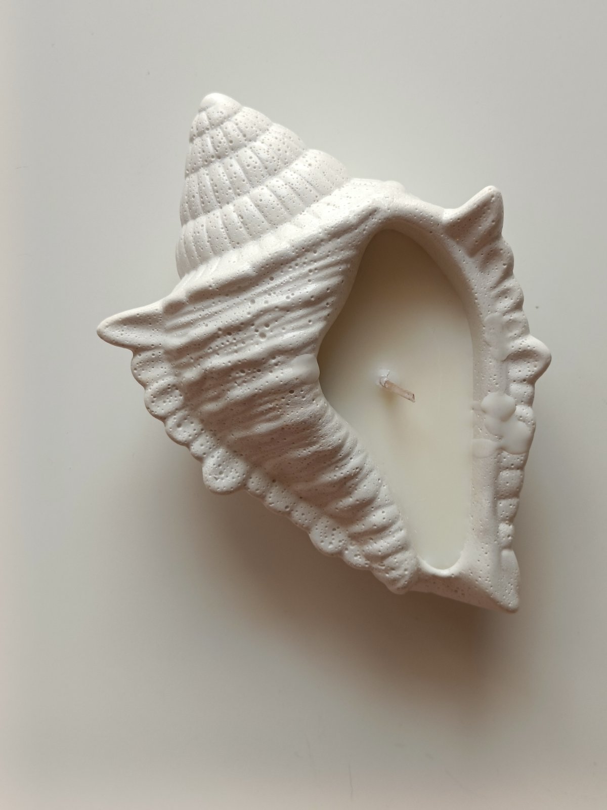 Dream Shell Soy Candle