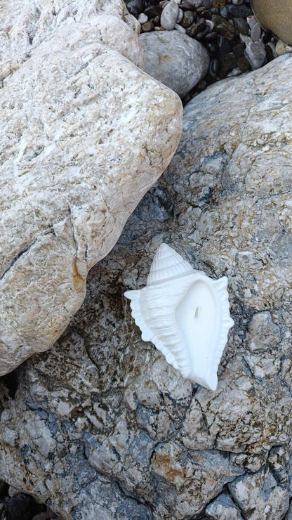 Dream Shell Soy Candle