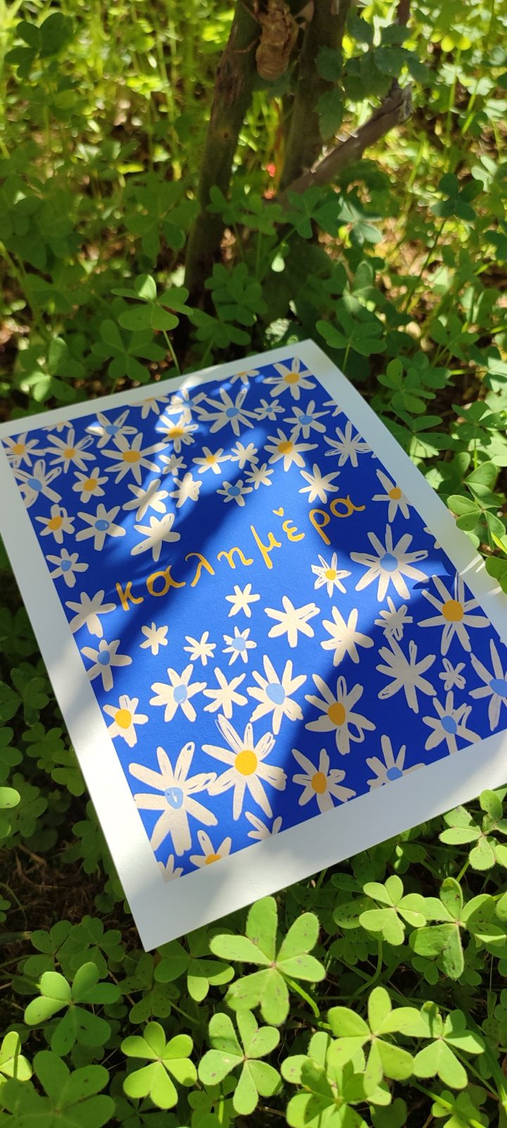 The Good Morning project - "Daisies"