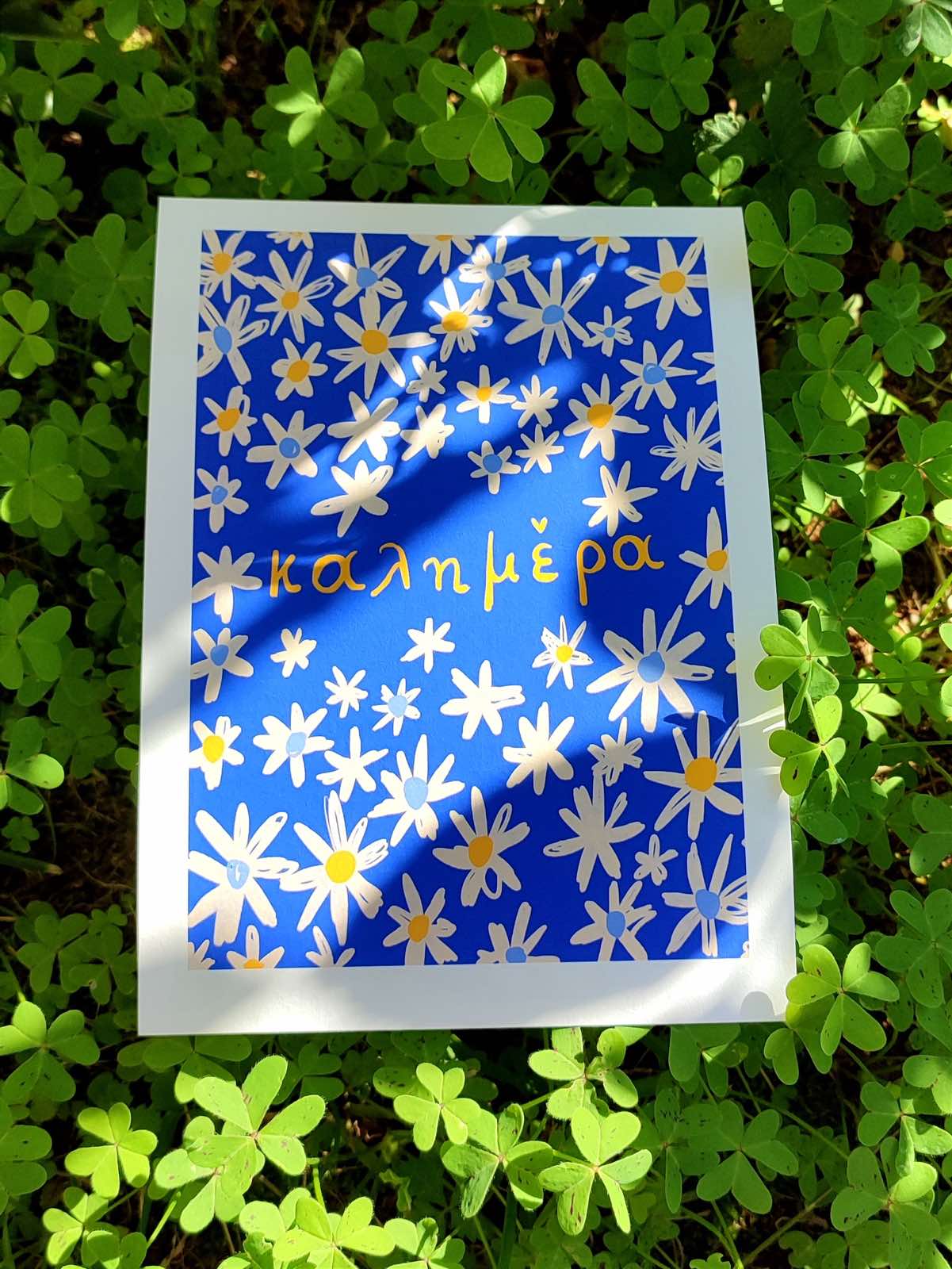 The Good Morning project - "Daisies"