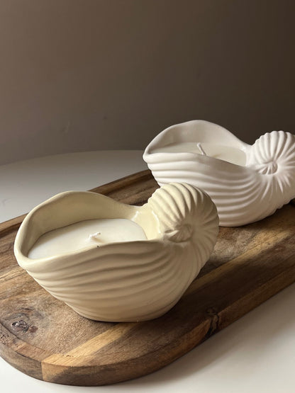 Nautilus Shell