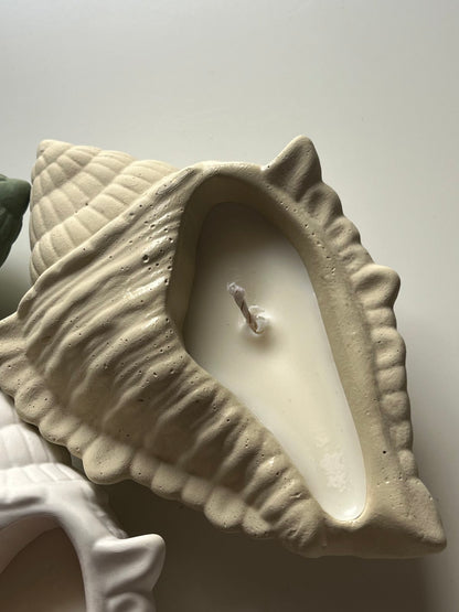 Dream Shell