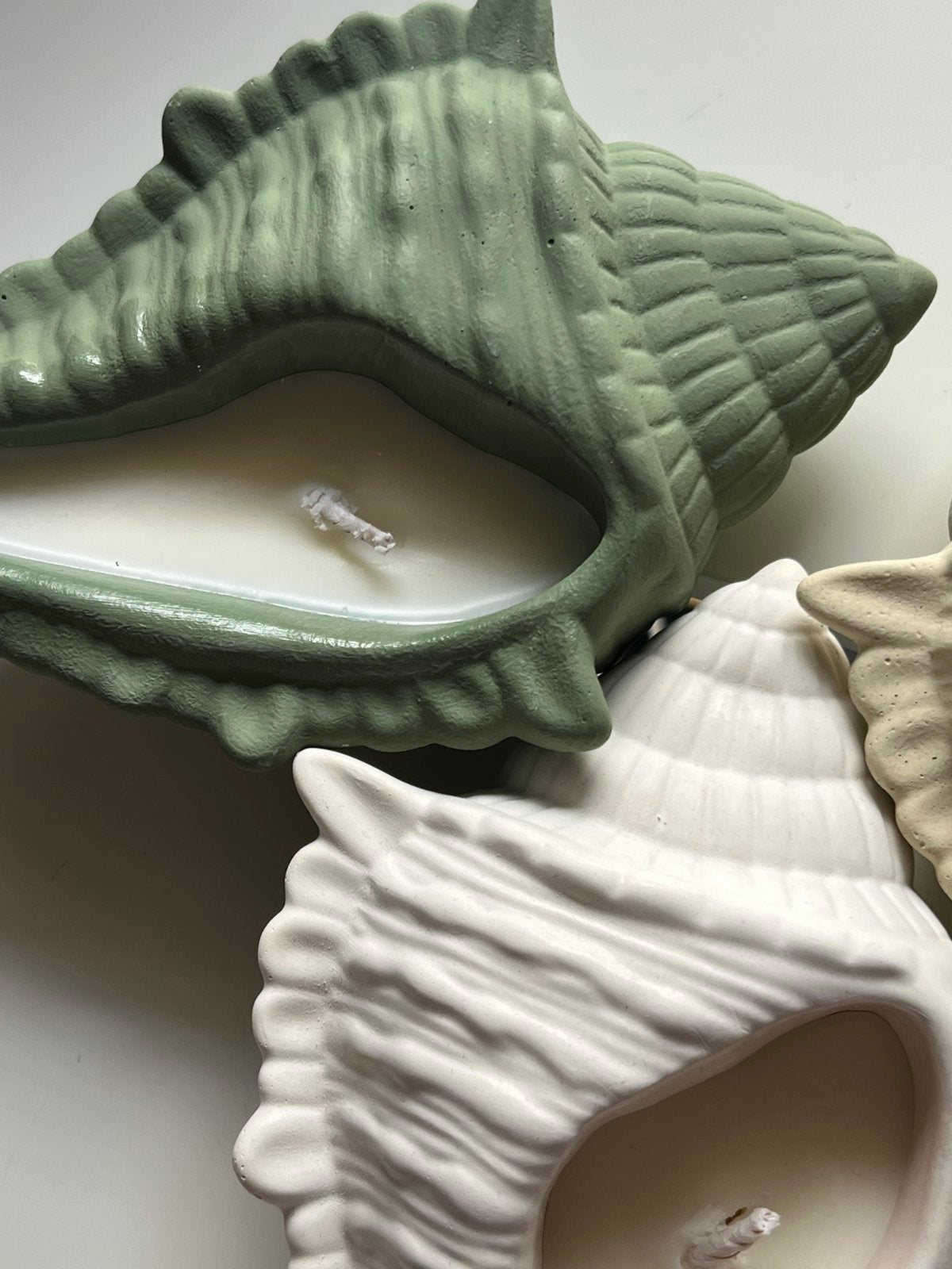 Dream Shell