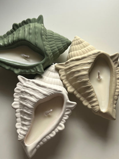 Dream Shell