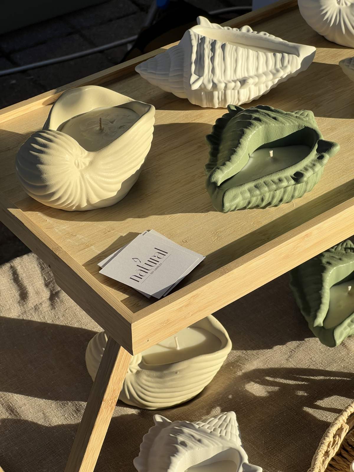 Nautilus Shell