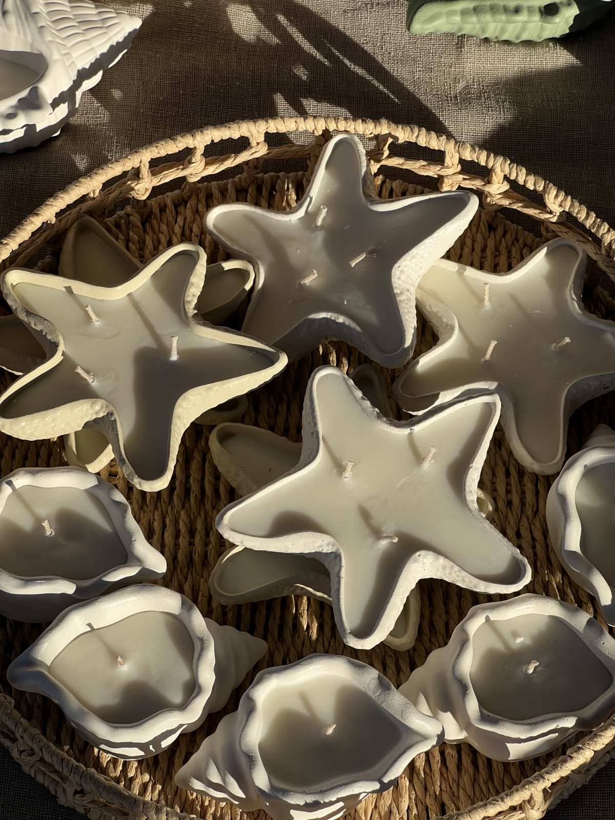 Concrete Starfish