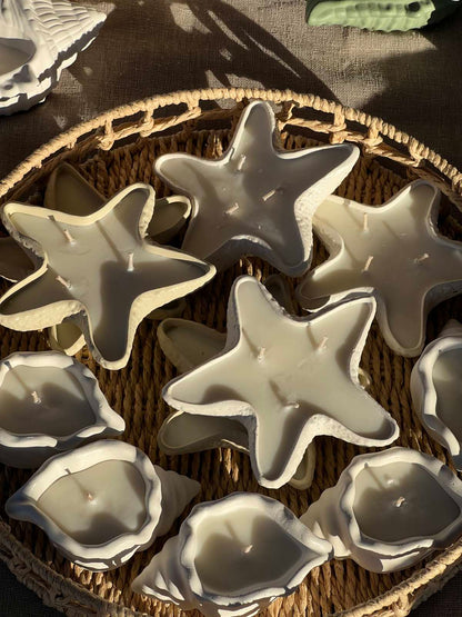 Concrete Starfish