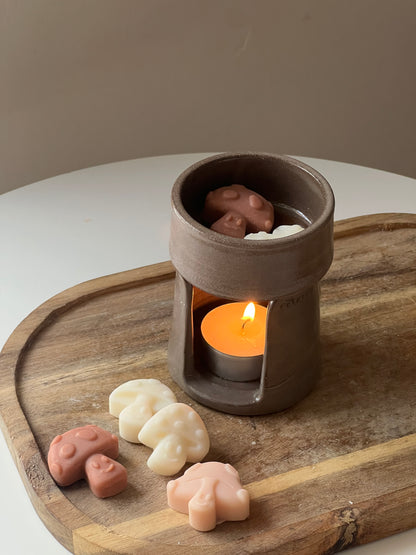 Tabacco Amber Wax Melts