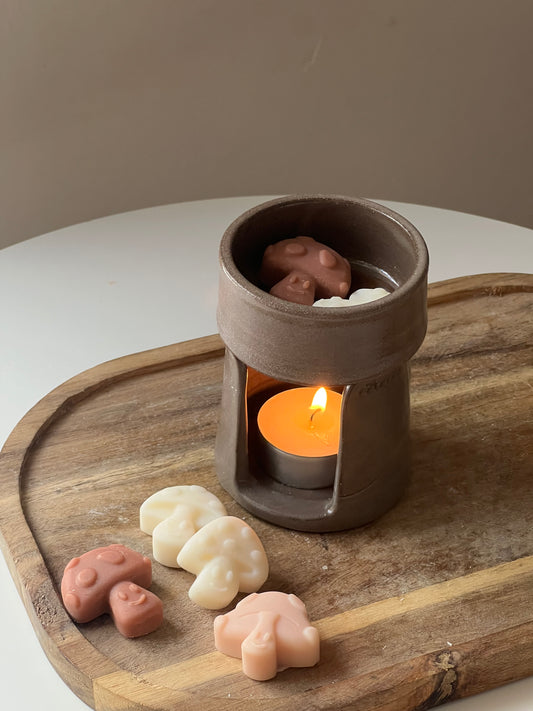 Ceramic Burner